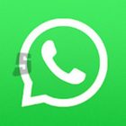 دانلود واتساپ whatsapp 2.24.14.81 + Windows 2.2401.3.0 ویندوز و اندروید