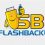دانلود usb-flash-backup 2.1.5.16 پشتیبان گیری از فایلها و پوشه های USB