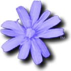 دانلود Cloanto c64 forever 10.4.0 Plus Edition شبیه ساز سخت افزار C64