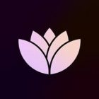 دانلود Bliss OS 16.9.4 بلیس اُ اس سیستم عامل اندروید 13