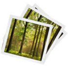 دانلود Photo EXIF & Watermark Maker 1.0.56.266 تغییر دسته ای اطلاعات Exif تصاویر